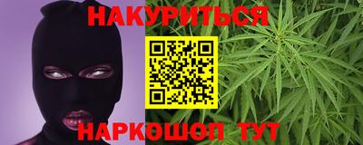 мяу мяу мука Аргун