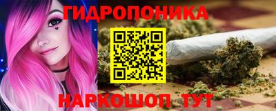 мяу мяу мука Аргун