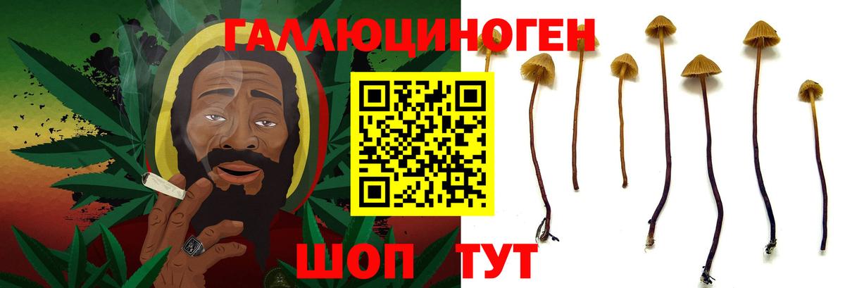 Галлюциногенные грибы ЛСД Балашиха